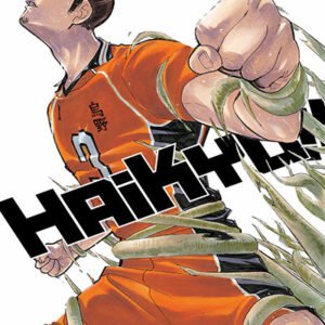 HAIKYU!! (Tomo 40)